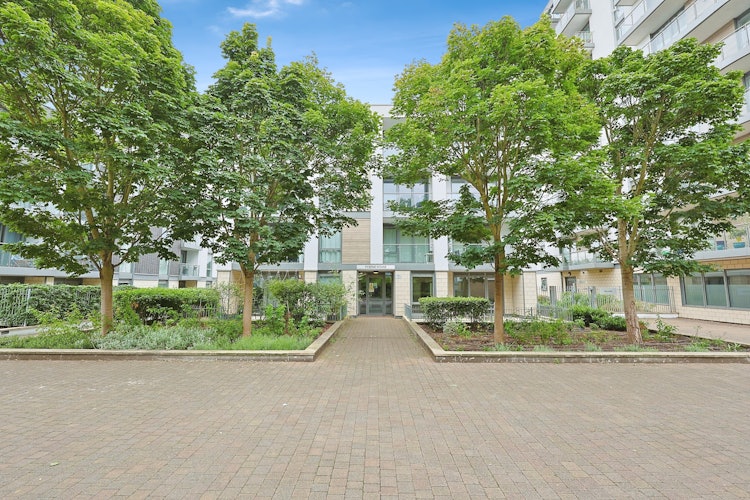 3 bedroom ground floor flat