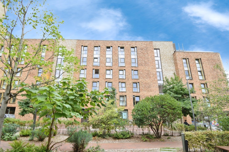 3 bedroom flat