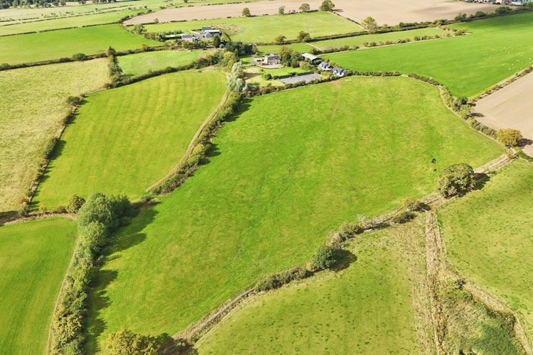 4 bedroom equestrian facility